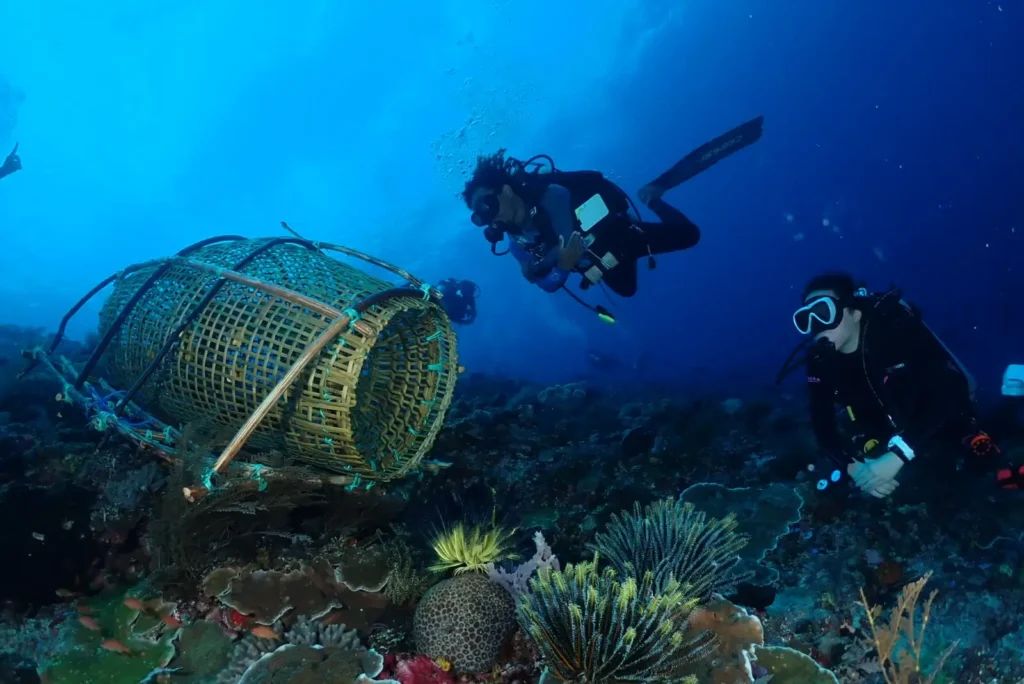 header dive